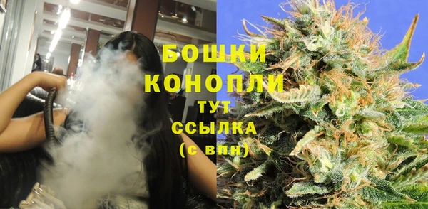 индика Лихославль
