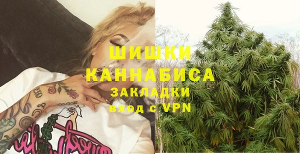 индика Лихославль