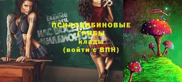 индика Лихославль