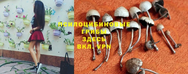 jwh Лиски