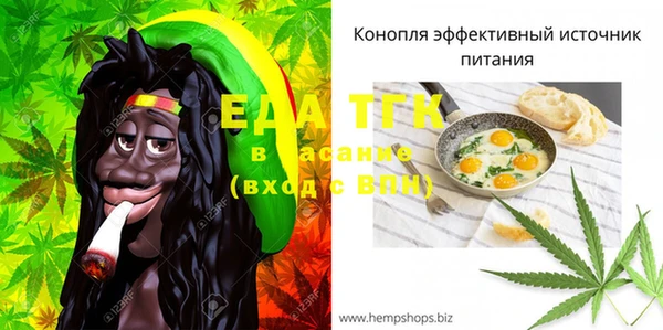 индика Лихославль