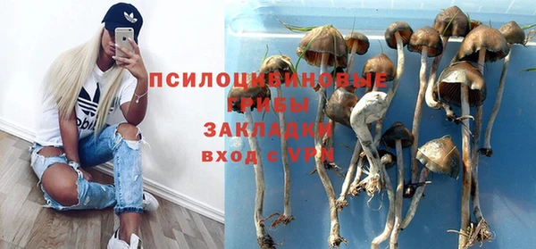 индика Лихославль