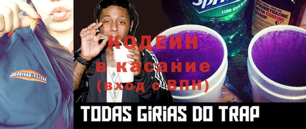 индика Лихославль