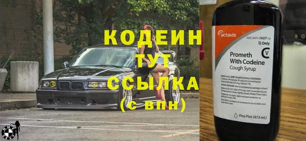 индика Лихославль
