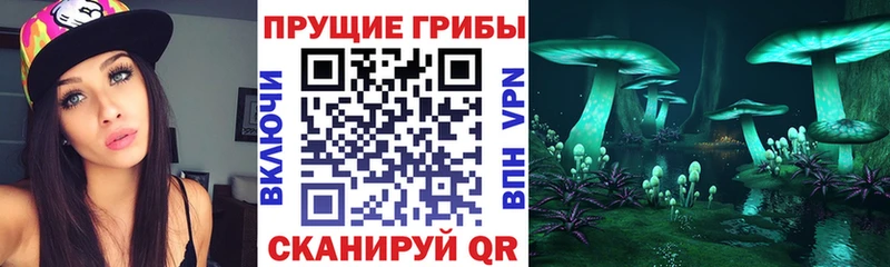 Галлюциногенные грибы прущие грибы  дарк нет наркотические препараты  Черепаново 